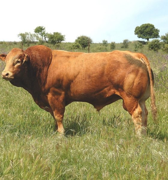 DSC_0198_tcm30-114592